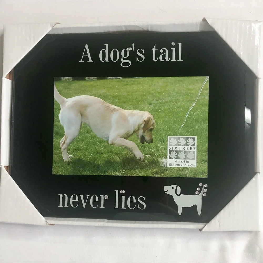 Christmas Pet Dog black glossy picture frame A Dogs Tail Never Lies 4” x 6”